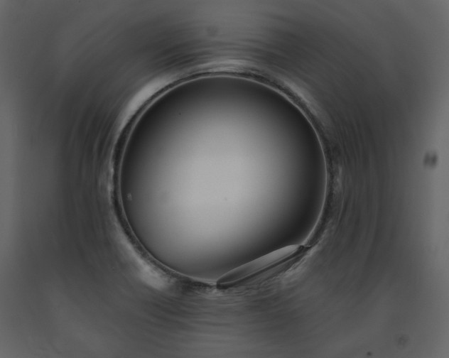 X0000091511418200708241620