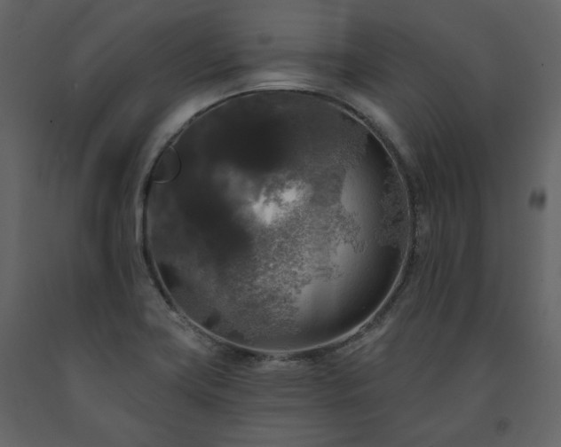 X0000091511419200708241620