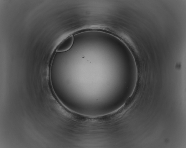 X0000091511420200708241620