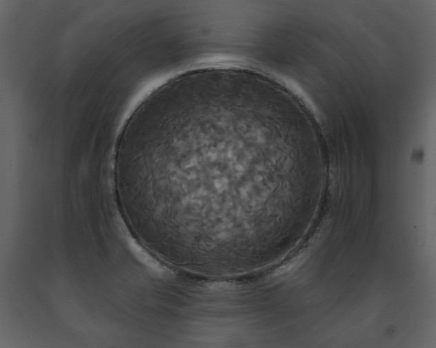 X0000091511421200708241620