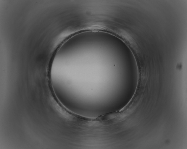 X0000091511422200708241620