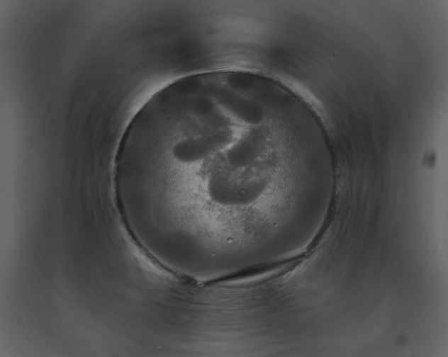X0000091511423200708241620