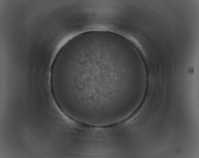 X0000091511424200708241620