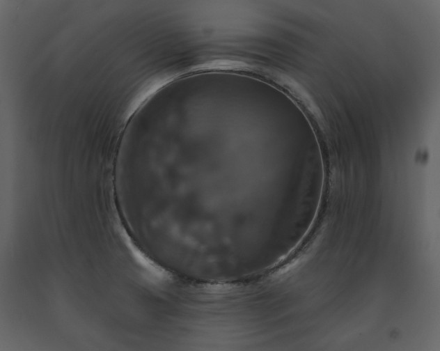 X0000091511425200708241620