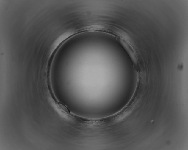 X0000091511426200708241620