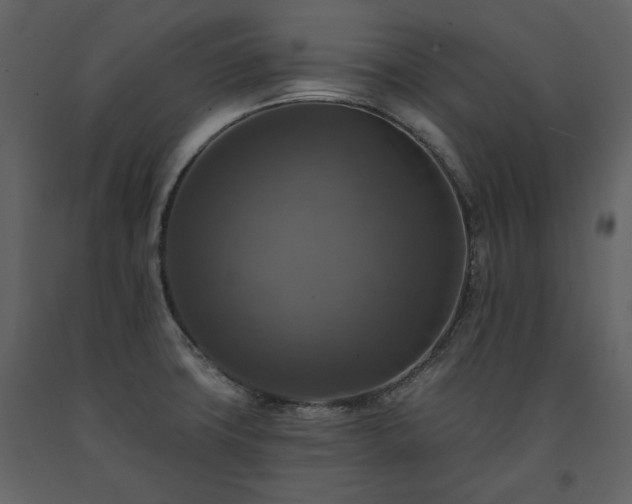 X0000091511427200708241620