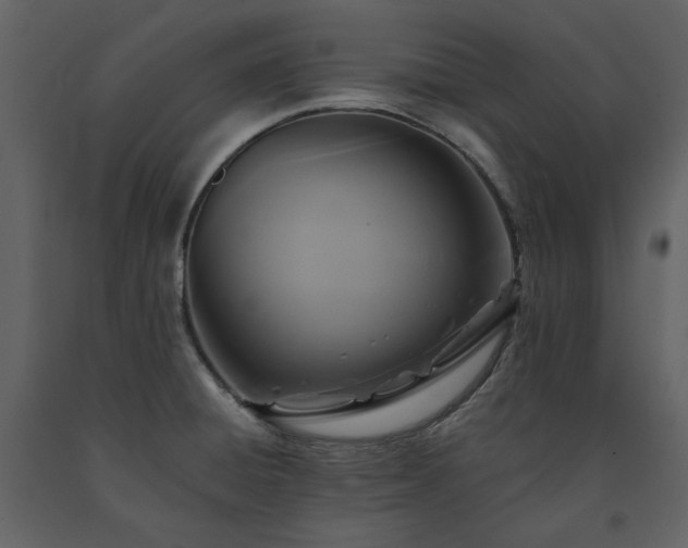 X0000091511428200708241620