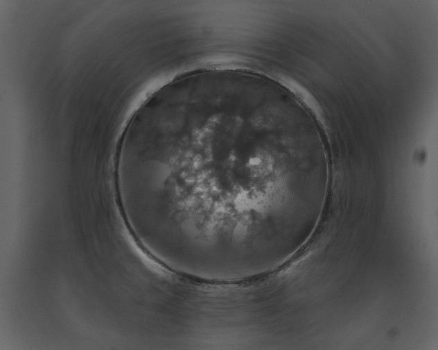 X0000091511429200708241620