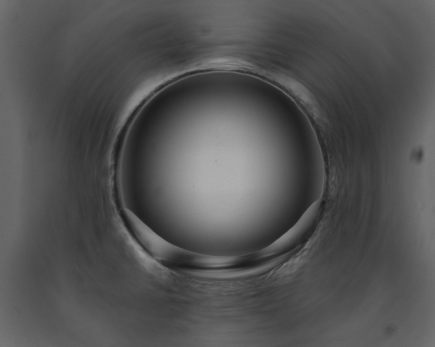 X0000091511430200708241620