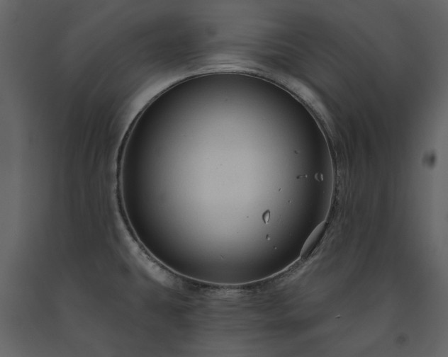 X0000091511431200708241620