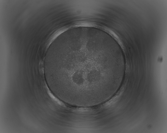 X0000091511433200708241620