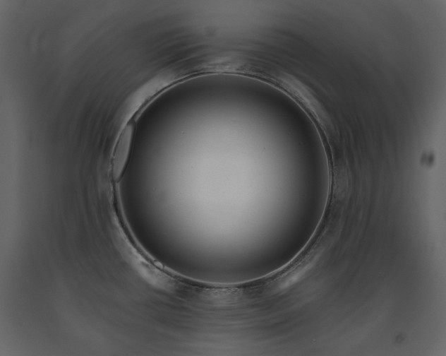 X0000091511434200708241620
