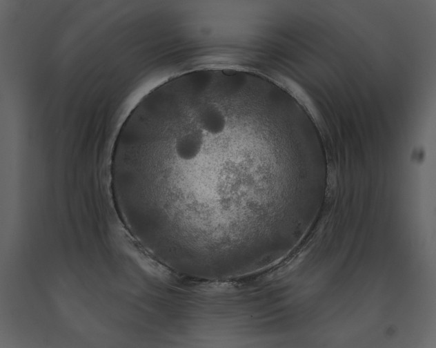 X0000091511435200708241620