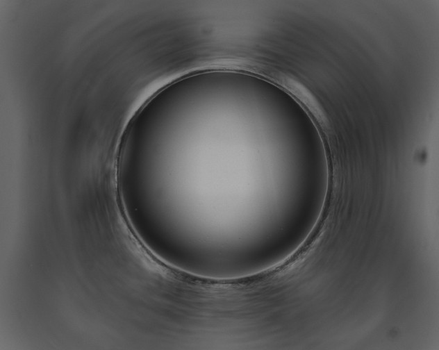 X0000091511436200708241620
