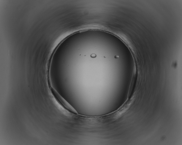 X0000091511438200708241620