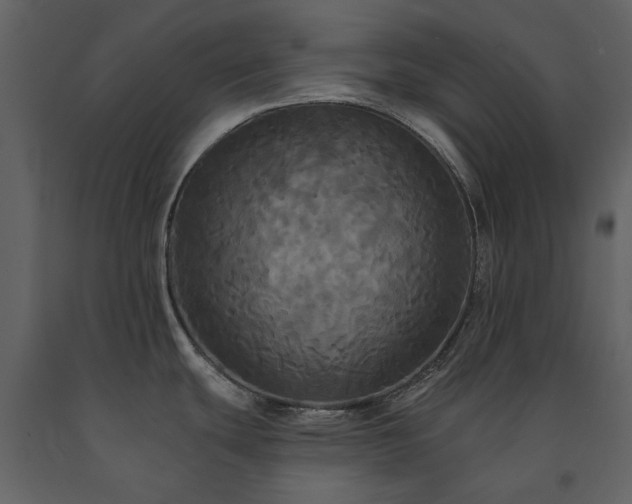 X0000091511439200708241620