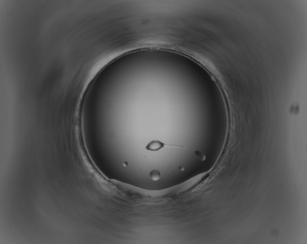 X0000091511440200708241620