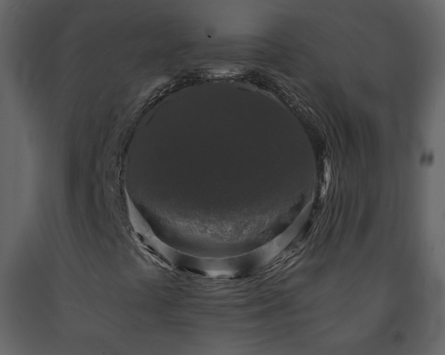 X0000091511441200708241619