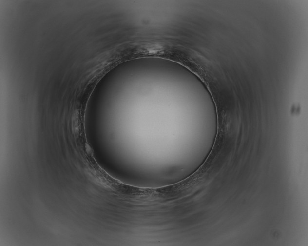 X0000091511442200708241619