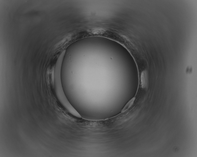 X0000091511443200708241619