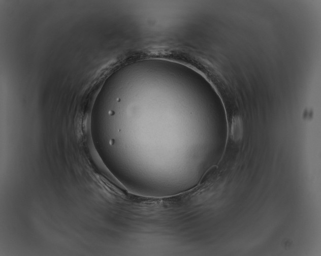 X0000091511444200708241619