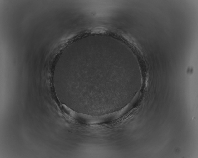 X0000091511445200708241619