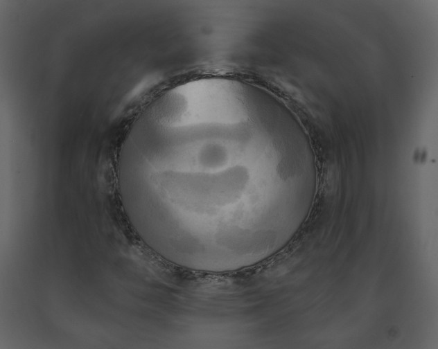 X0000091511446200708241619