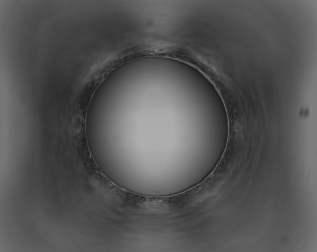 X0000091511447200708241619