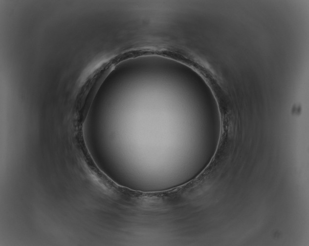 X0000091511448200708241619