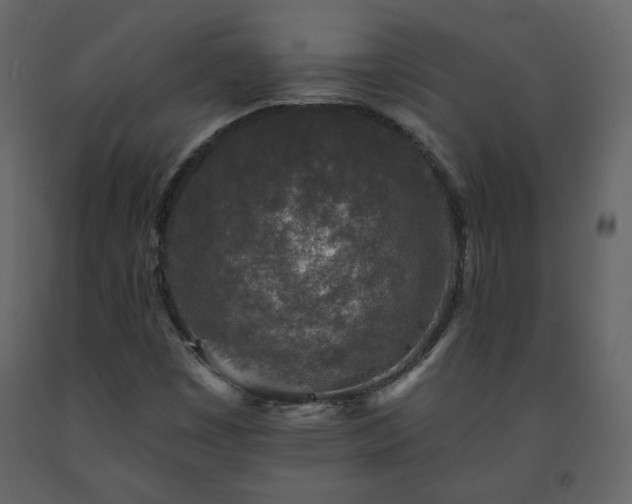 X0000091511449200708241619
