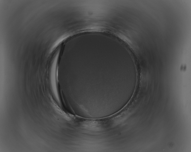 X0000091511450200708241619