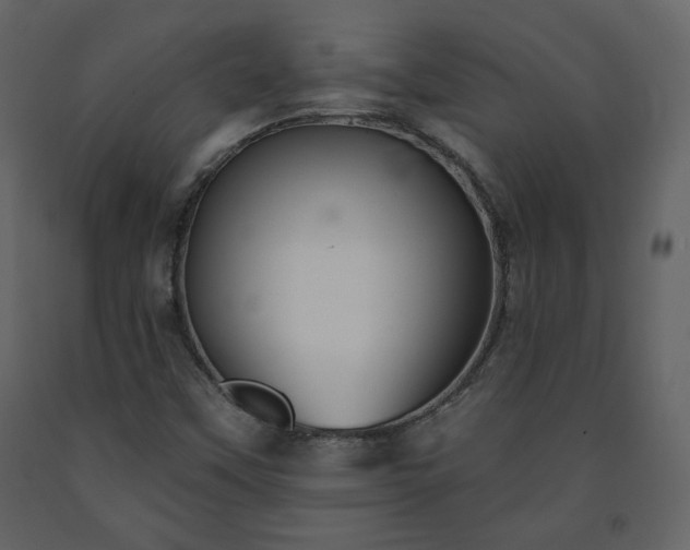 X0000091511451200708241619