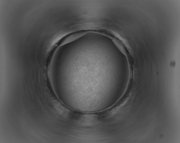 X0000091511453200708241619