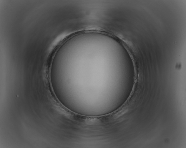 X0000091511454200708241619