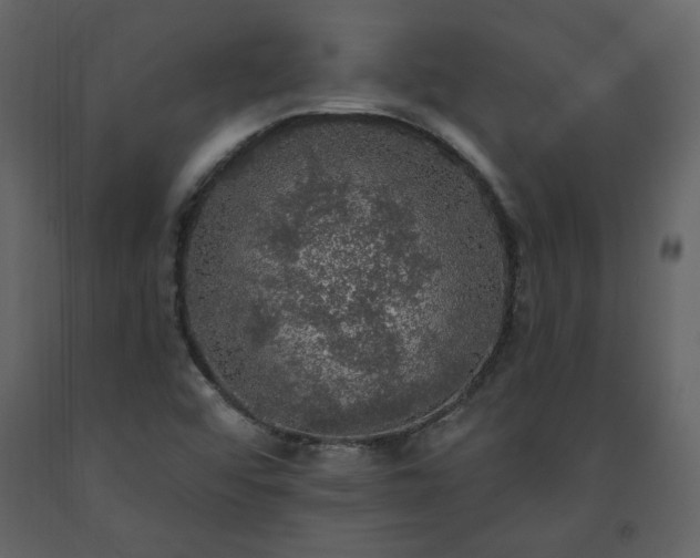 X0000091511456200708241619
