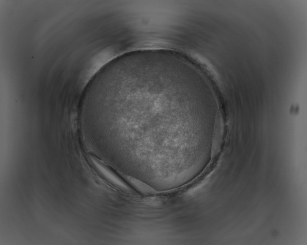 X0000091511457200708241619