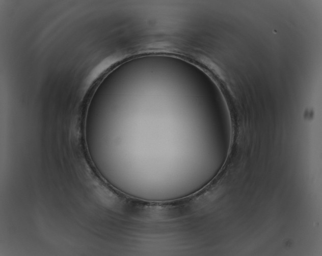 X0000091511458200708241619