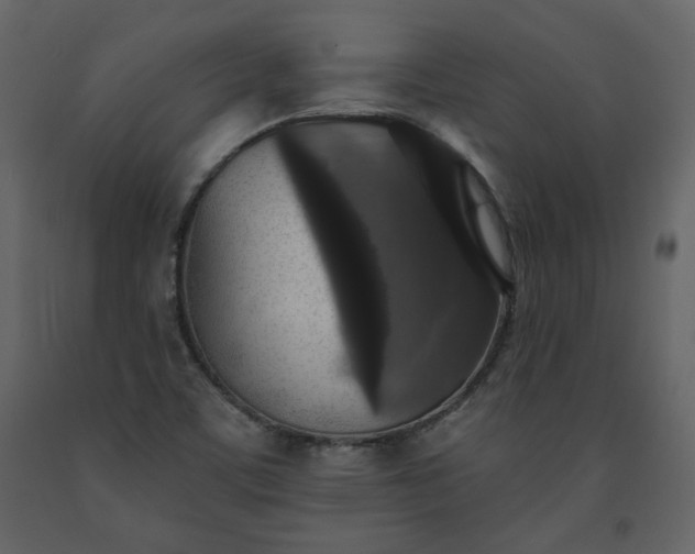 X0000091511459200708241619