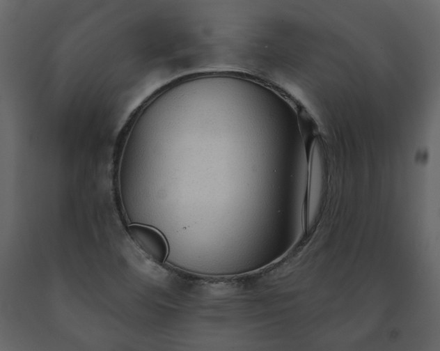 X0000091511460200708241619