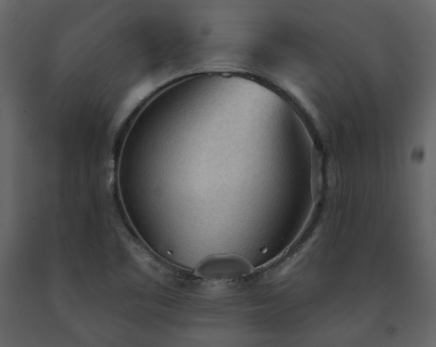 X0000091511461200708241619