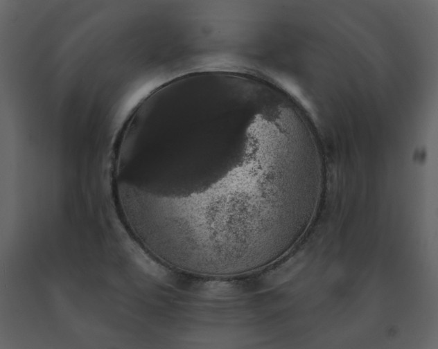 X0000091511463200708241619