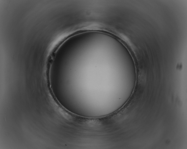 X0000091511464200708241619