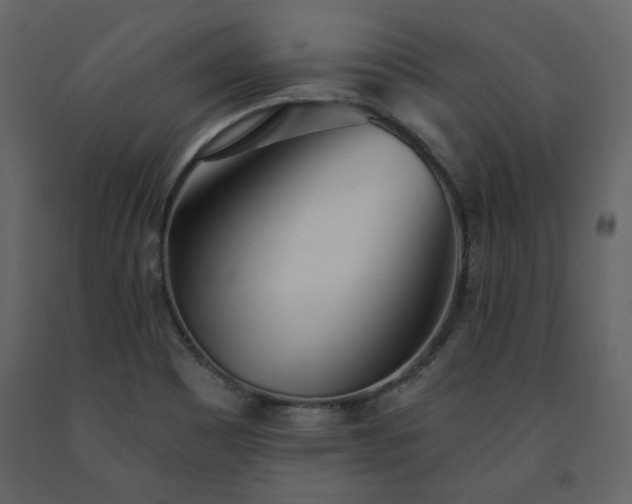 X0000091511465200708241619