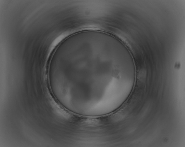 X0000091511466200708241619