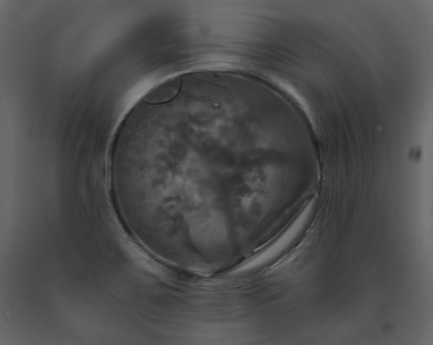 X0000091511467200708241619