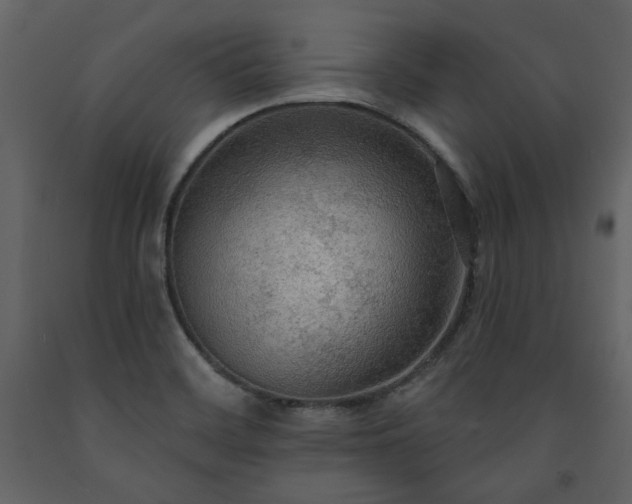 X0000091511468200708241619