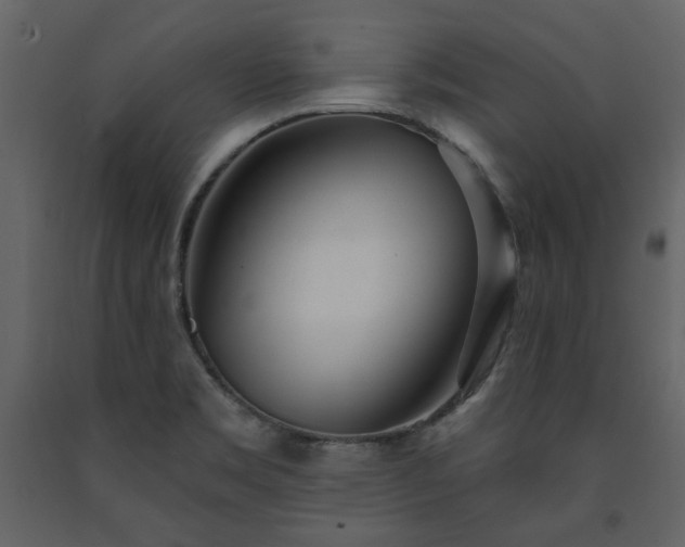 X0000091511469200708241619