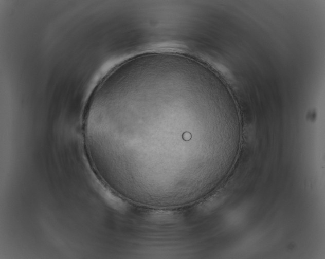 X0000091511470200708241619