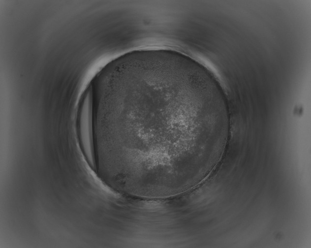 X0000091511472200708241619