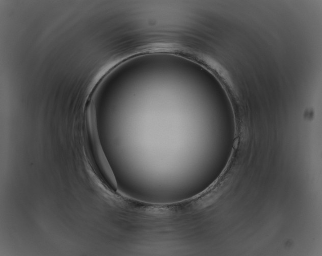 X0000091511473200708241619